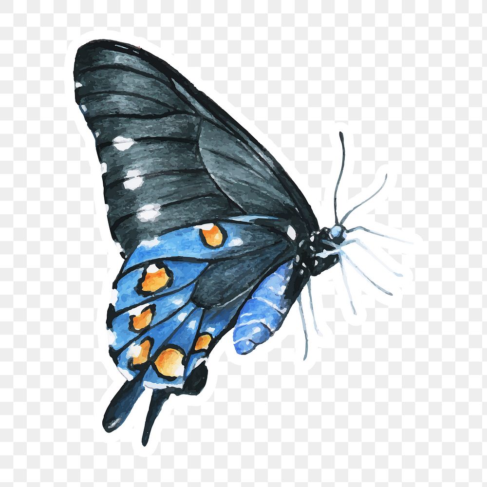 Swallowtail butterfly png watercolor sticker