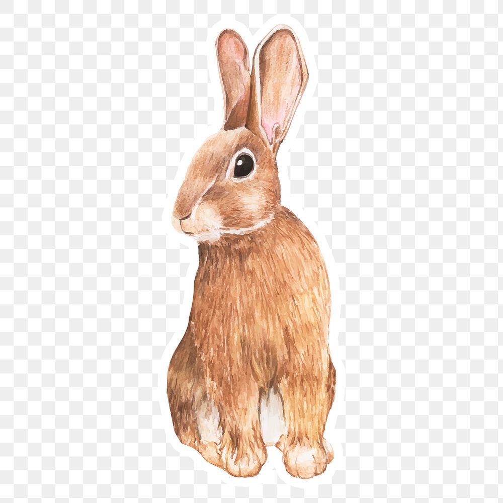 Hand drawn rabbit sticker png