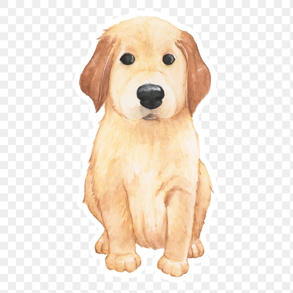 Golden retriever dog sticker png