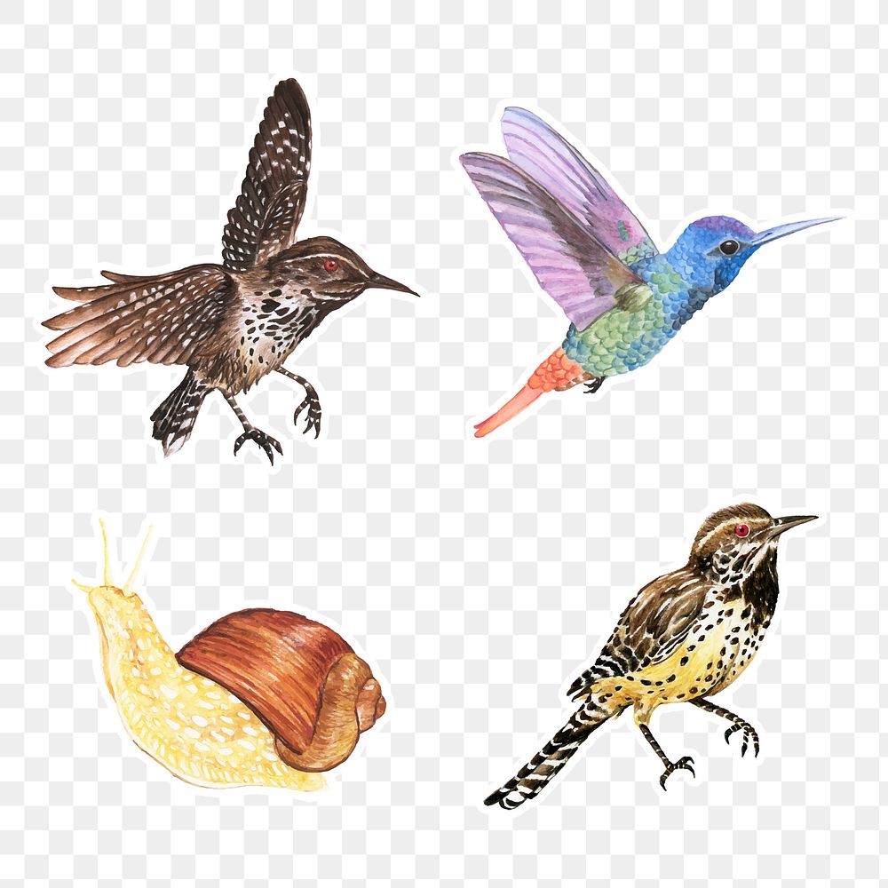 Watercolor bird and snail png sticker set