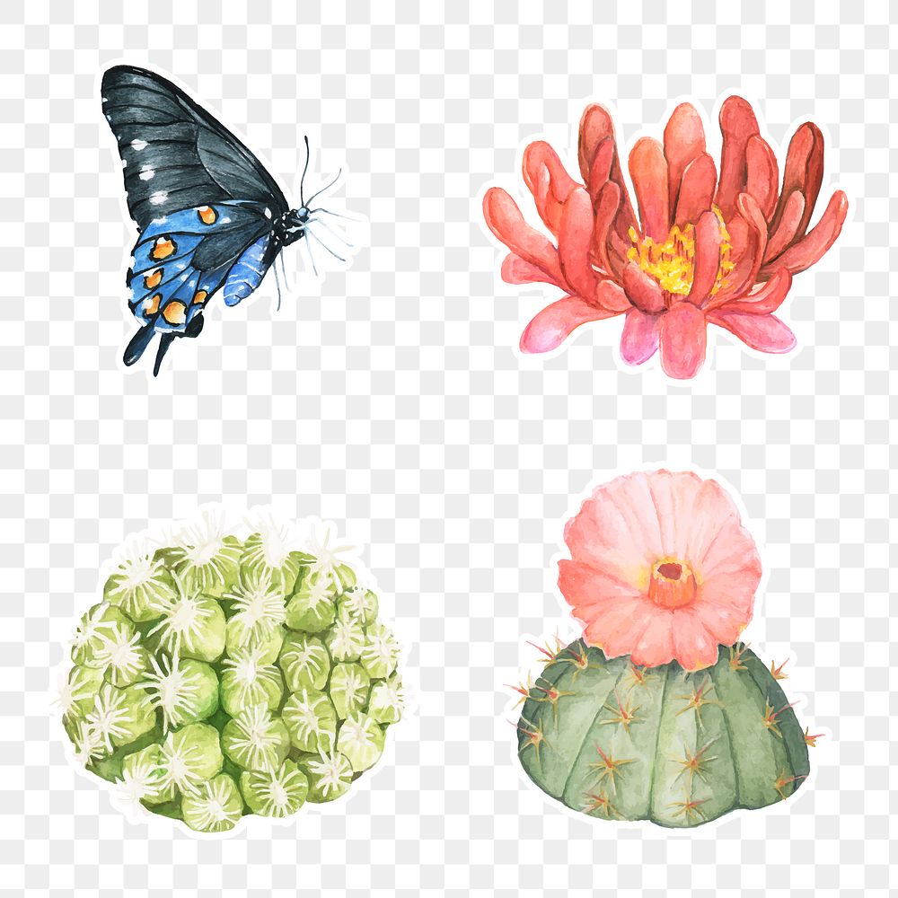 Butterfly and cactus watercolor sticker png set