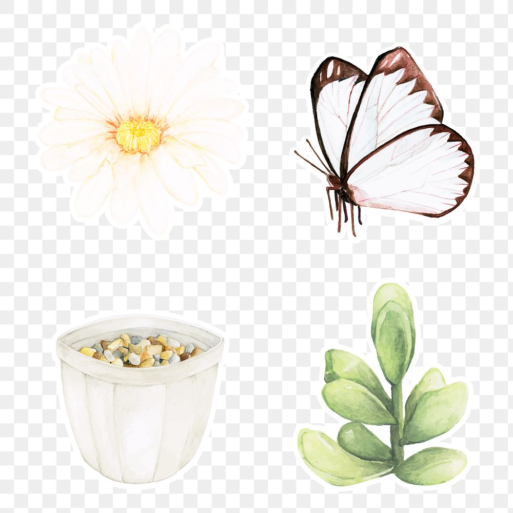 Butterfly and succulent sticker png set