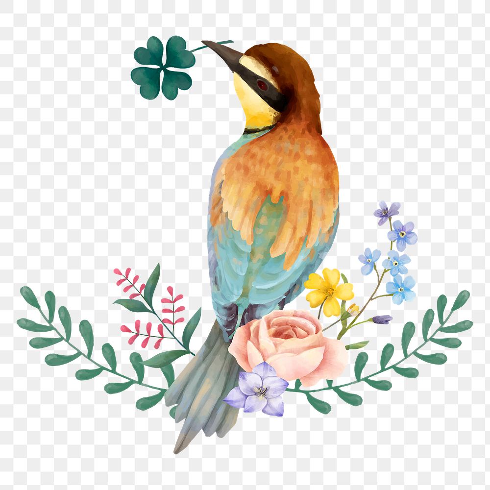 Watercolor bird sticker png botanical drawing clipart