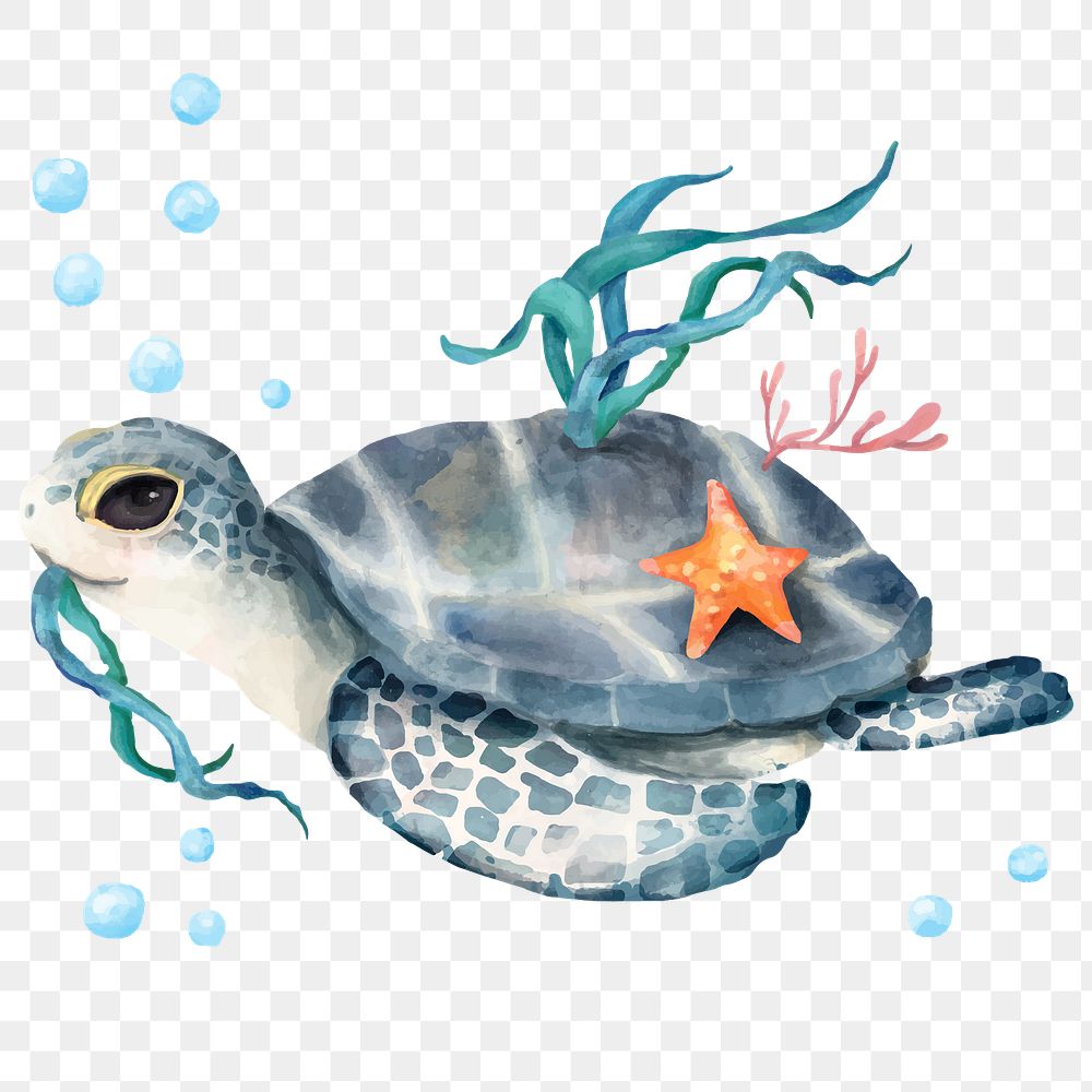 PNG baby sea turtle, watercolor animal sticker