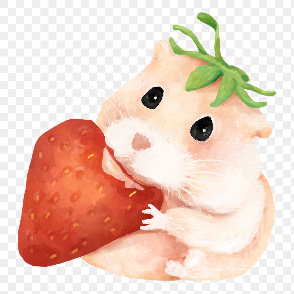 PNG hamster sticker, eating strawberry, watercolor animal design