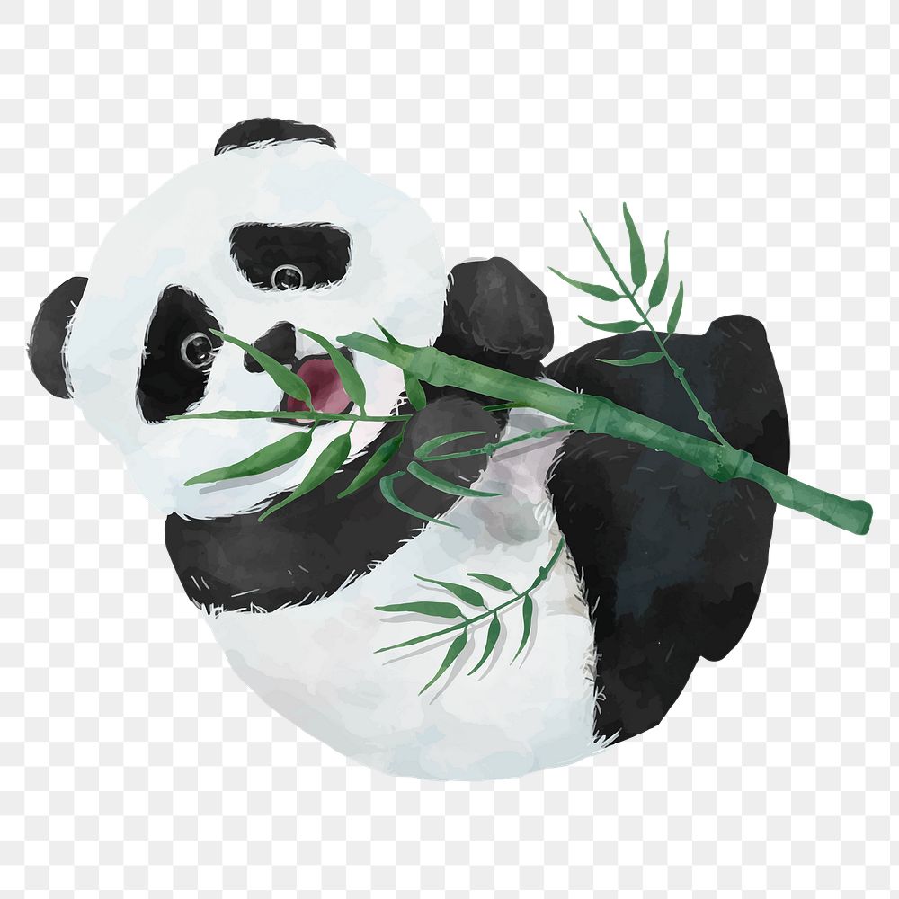 Baby panda png, watercolor animal sticker