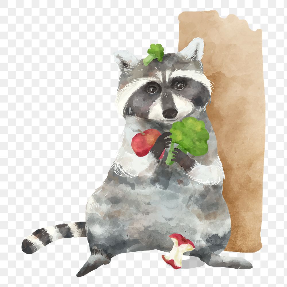 PNG watercolor raccoon sticker, cute animal design