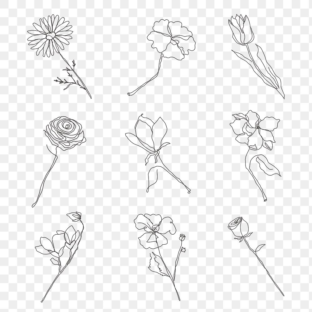 Png flower hand drawn set single line art