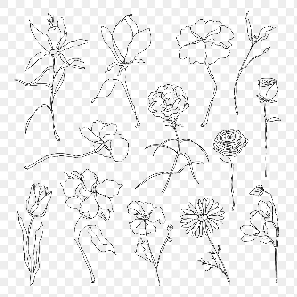 Png flower hand drawn set single line art