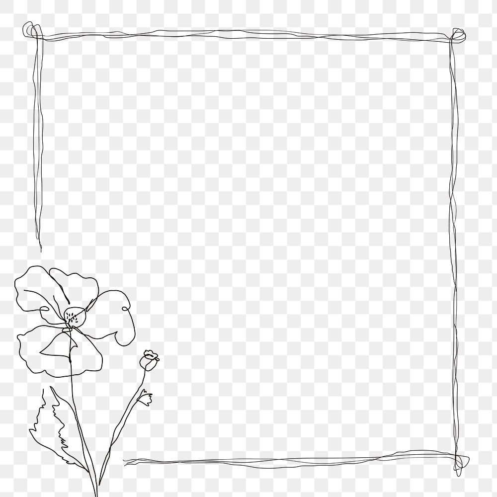 Png flower frame border line on transparent background