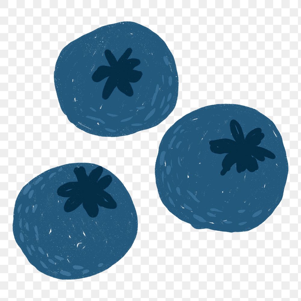 Blueberry PNG fruit doodle sticker