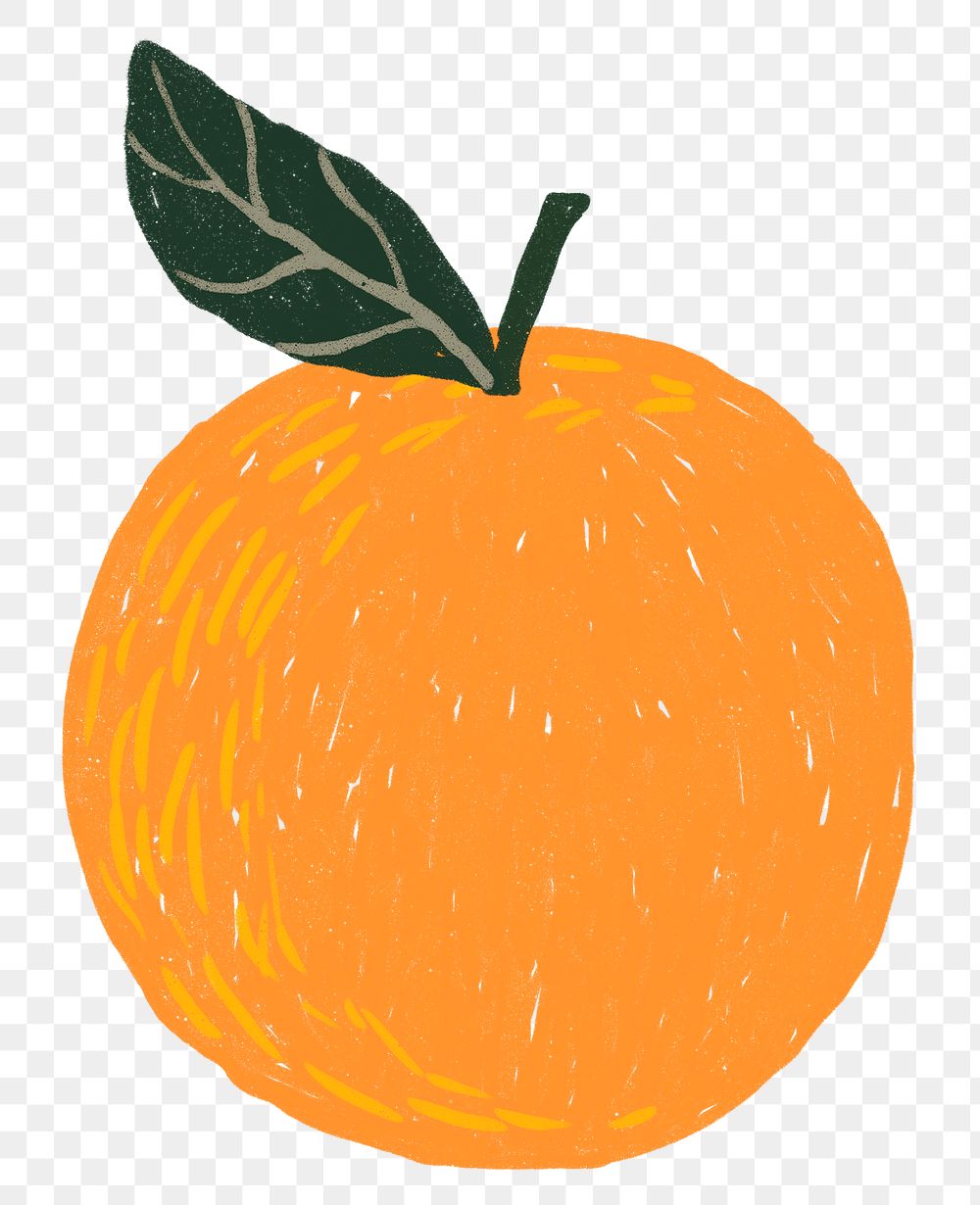 Orange PNG fruit doodle sticker