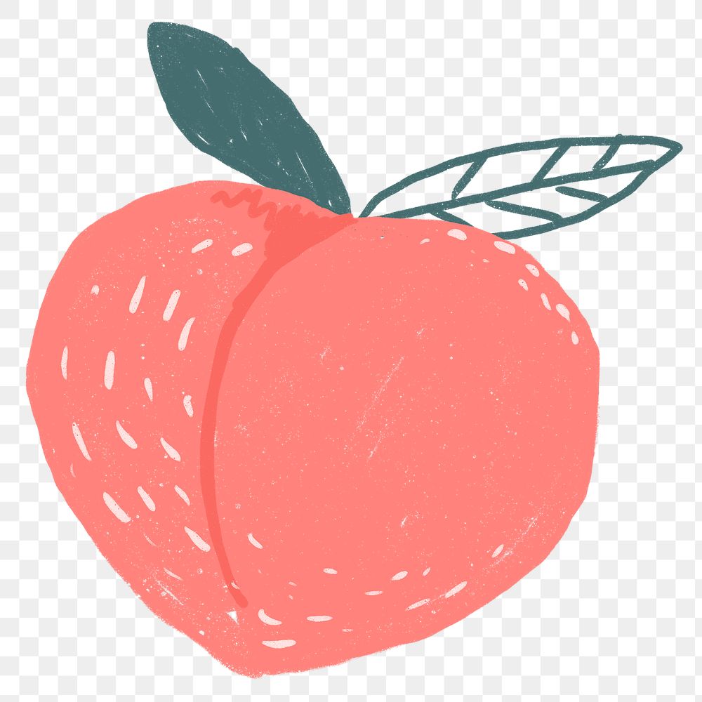 Peach PNG fruit doodle sticker