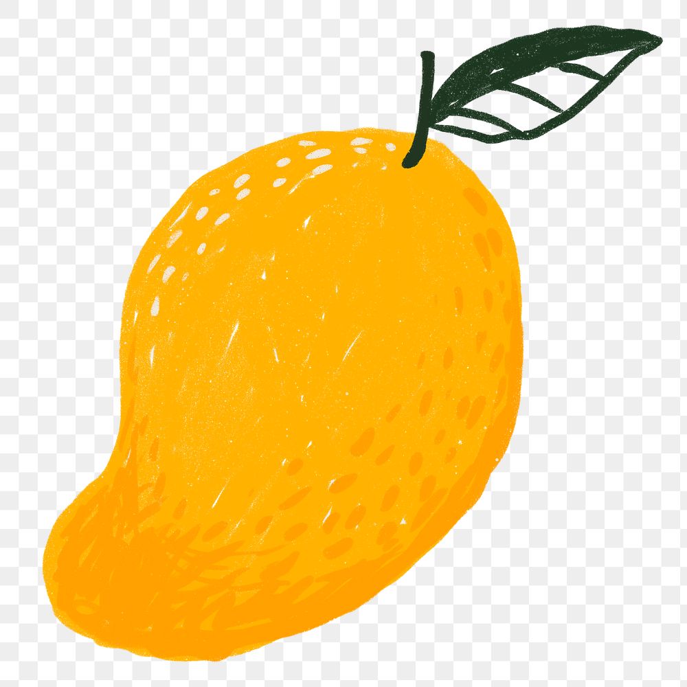 Mango PNG fruit hand drawn sticker