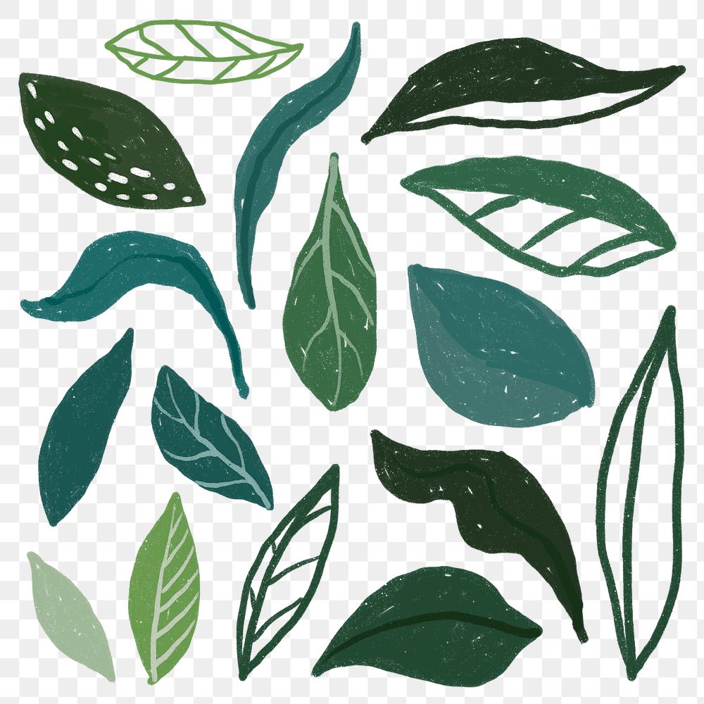 PNG leaf hand drawn sticker set