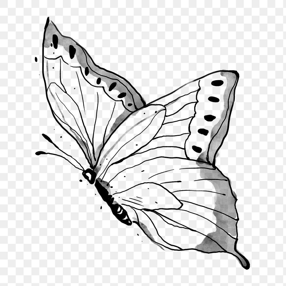 Ink butterfly png sticker, line art design element
