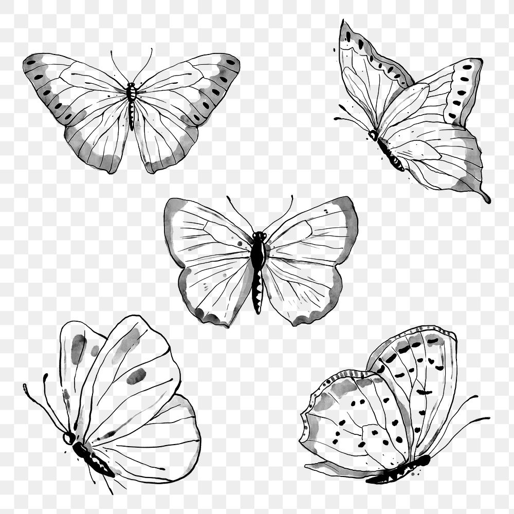 Ink butterfly png sticker, line art design element