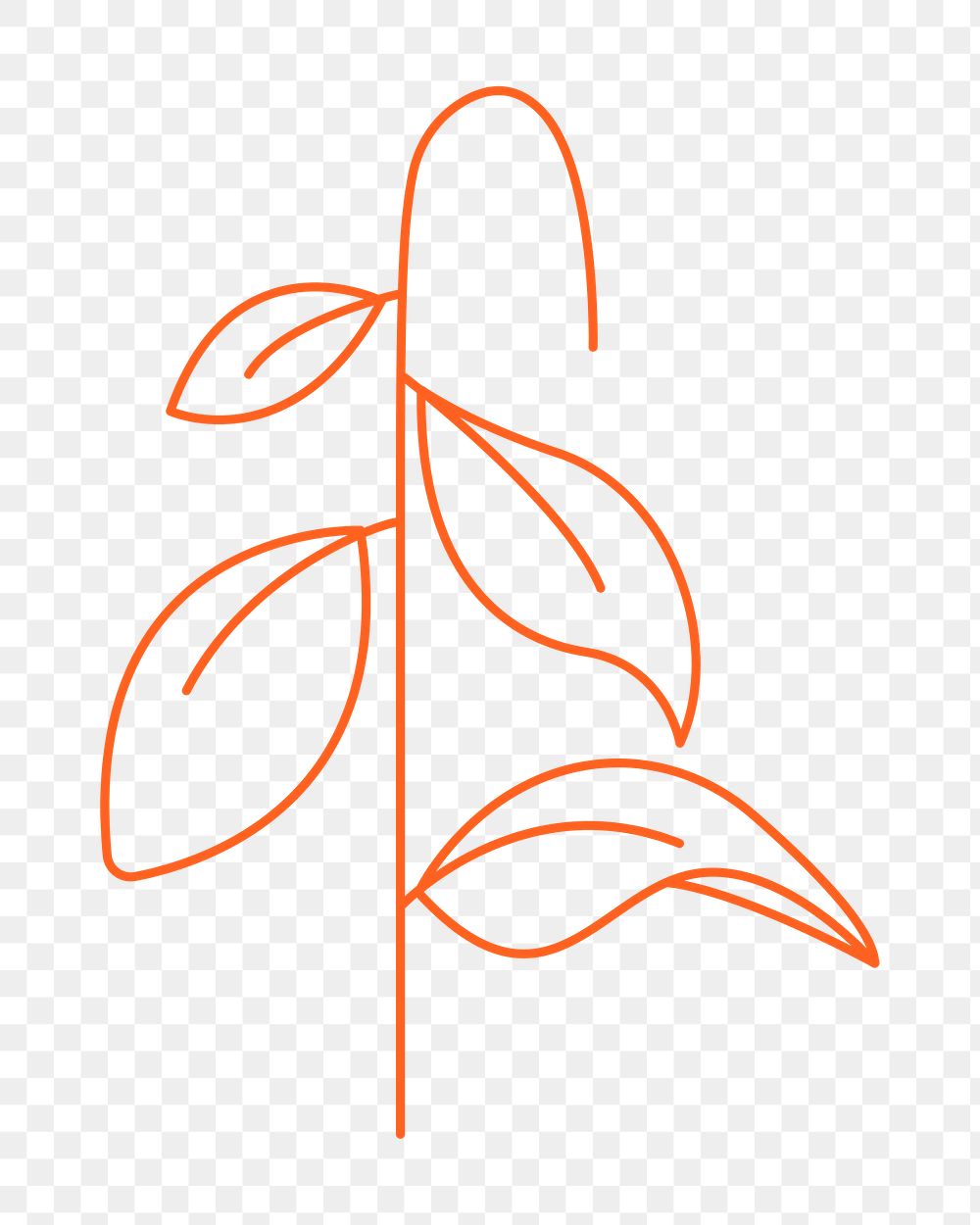 Minimal leaf png sticker, botanical collage element