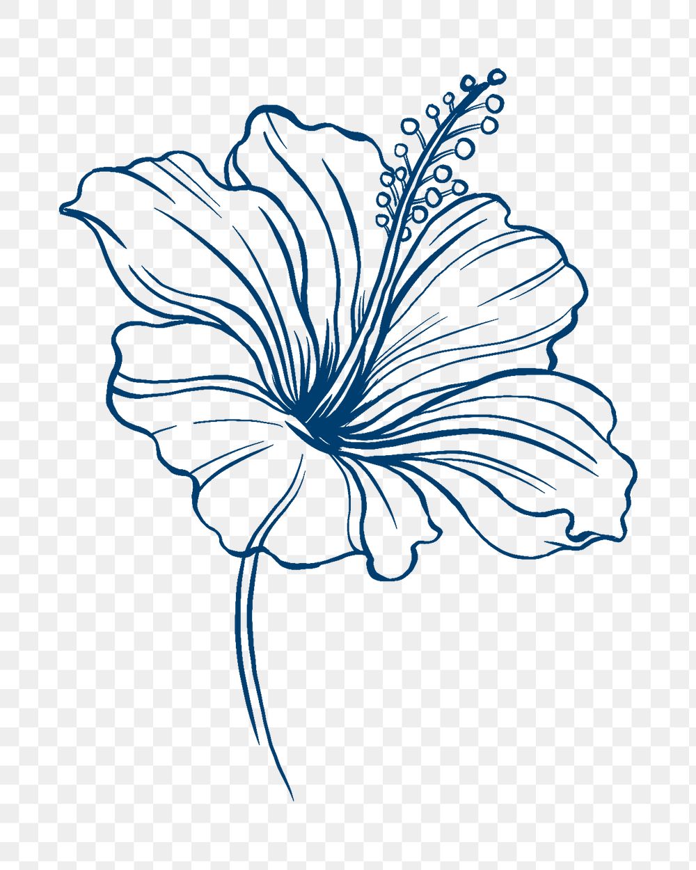 Hibiscus flower png tattoo art, blue vintage botanical cut out