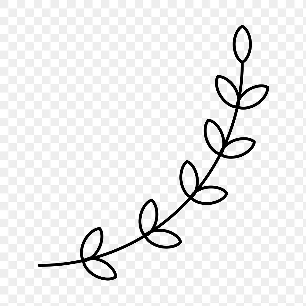 Plant element png, simple leaf graphic design