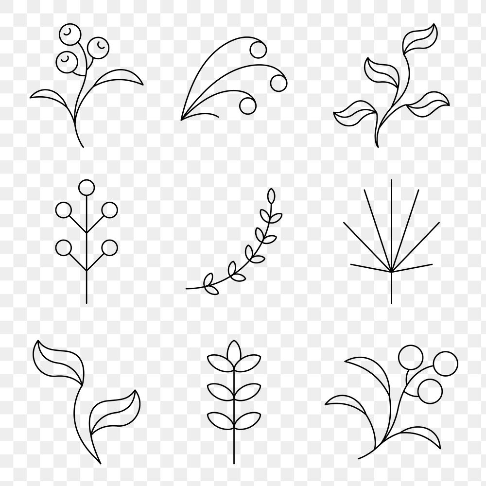 Leaf flower element png, simple botanical graphic design collection