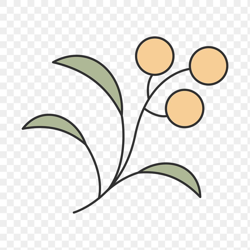 Leaf element png, botanical graphic design