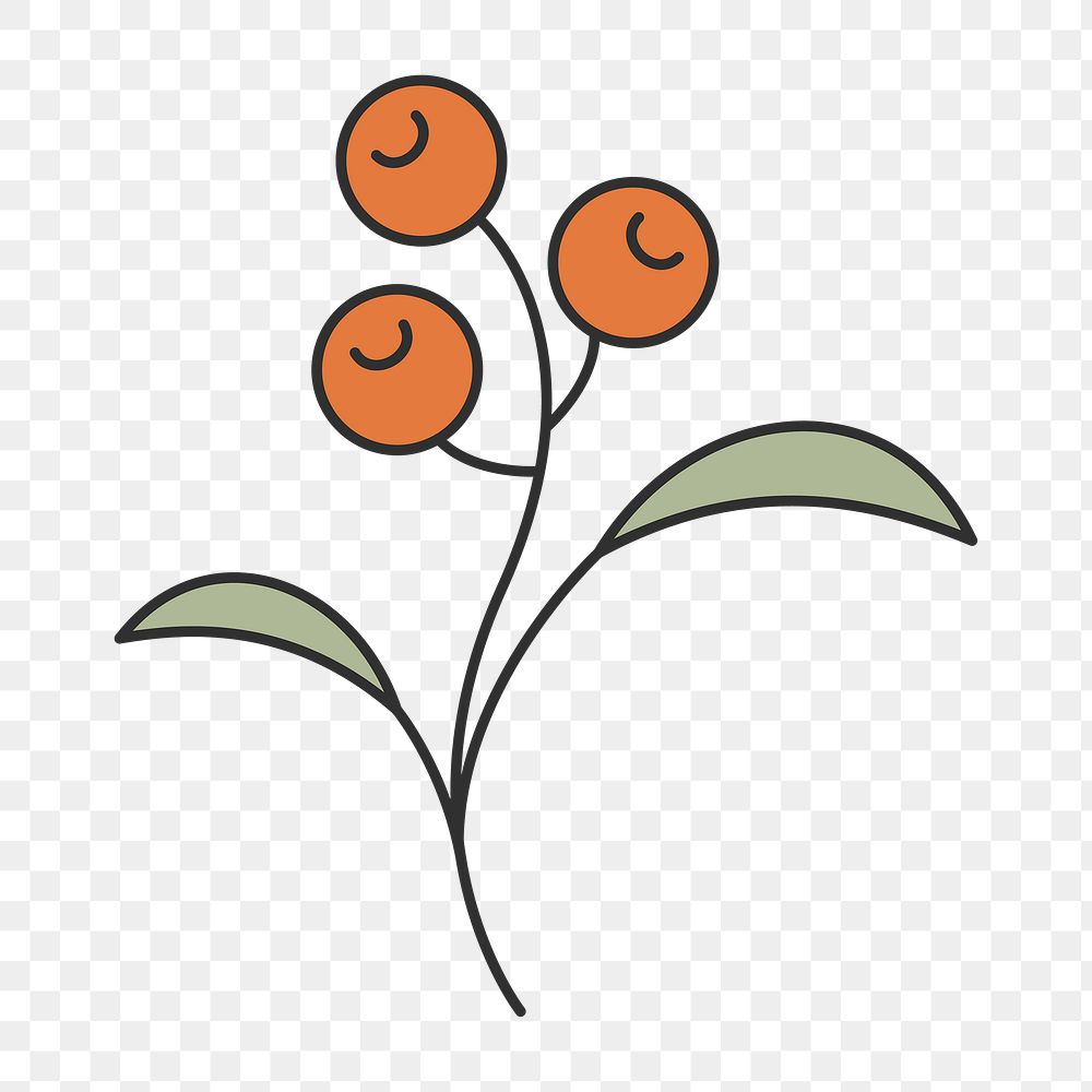 Plant element png, simple botanical graphic design