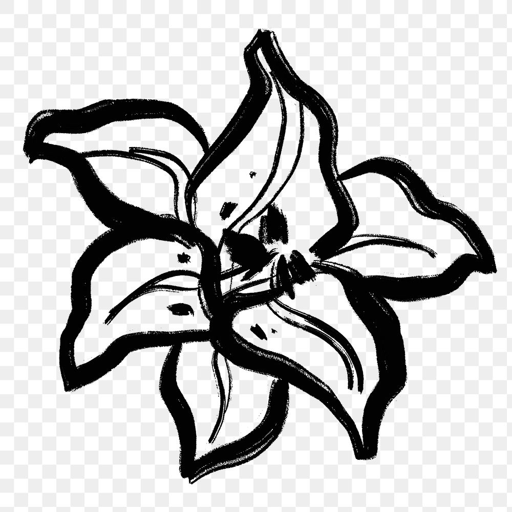 Lily png collage sticker, simple line drawing on transparent background
