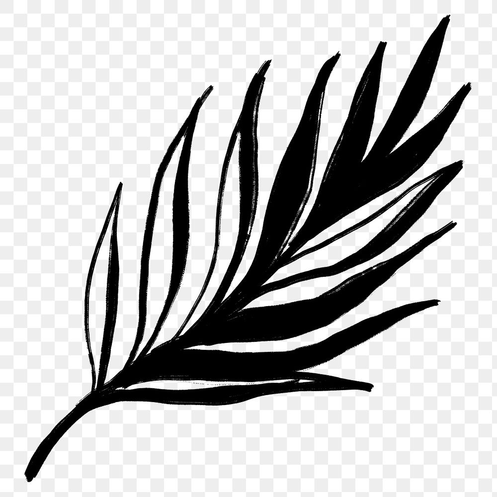 Palm leaf png line art, simple black botanical on transparent background for scrapbook