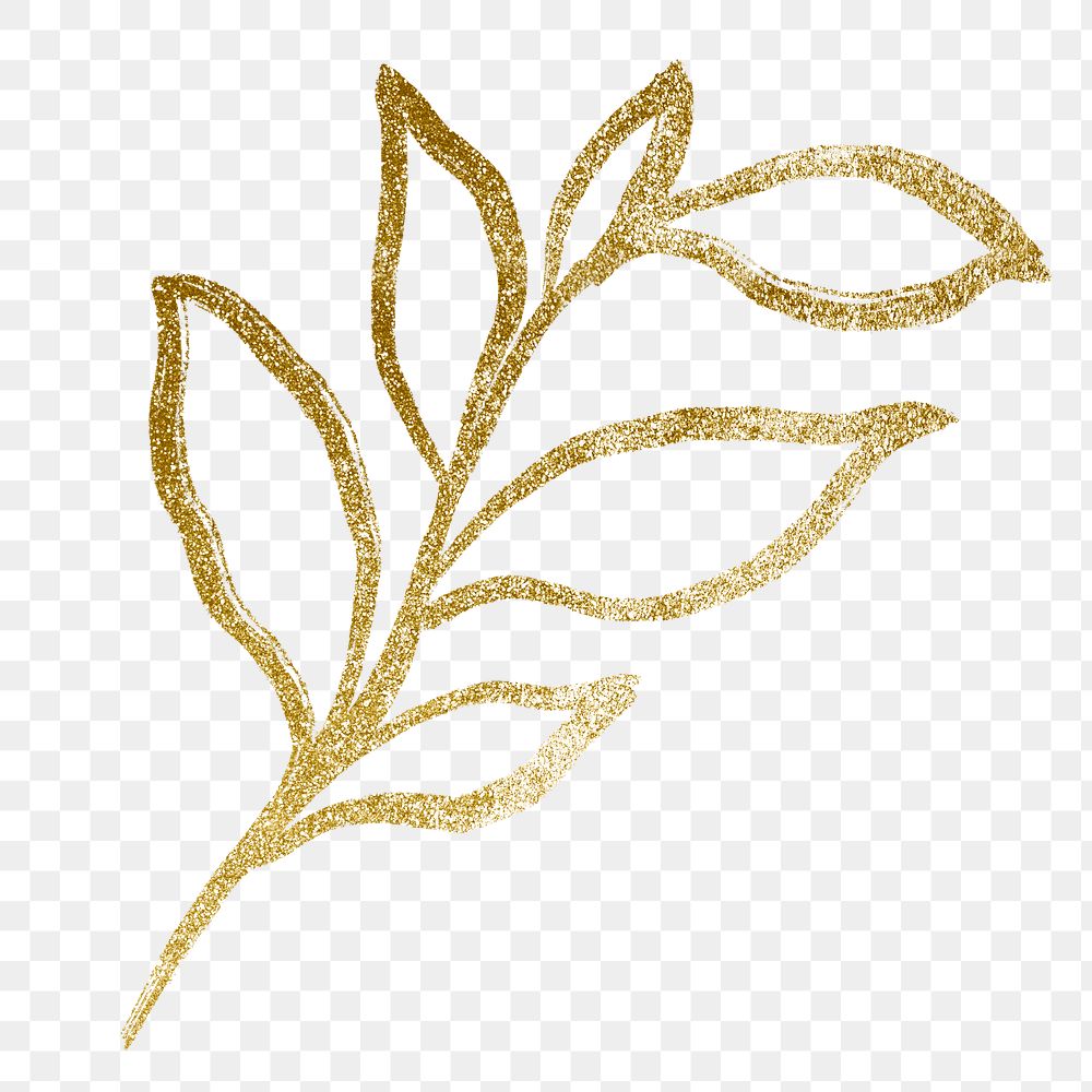 Botanical png collage element, gold leaf drawing, simple illustration transparent background