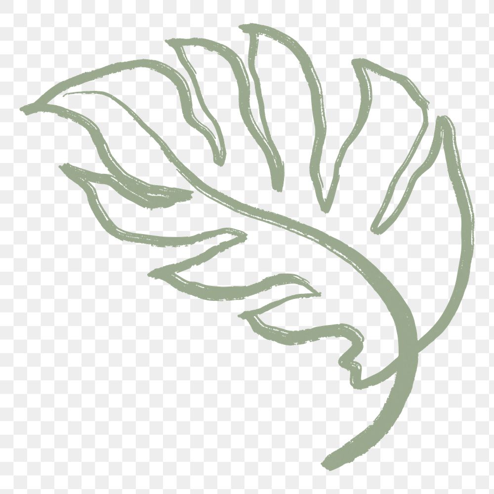 Green leaf png sticker, simple Monstera collage element on transparent background