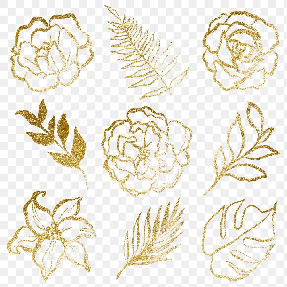 Gold botanical png stickers, aesthetic line art, simple illustration on transparent background set