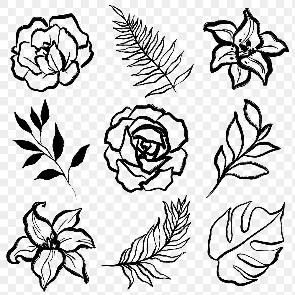 Black botanical png collage elements, flowers and plants line art, minimal illustration on transparent background set