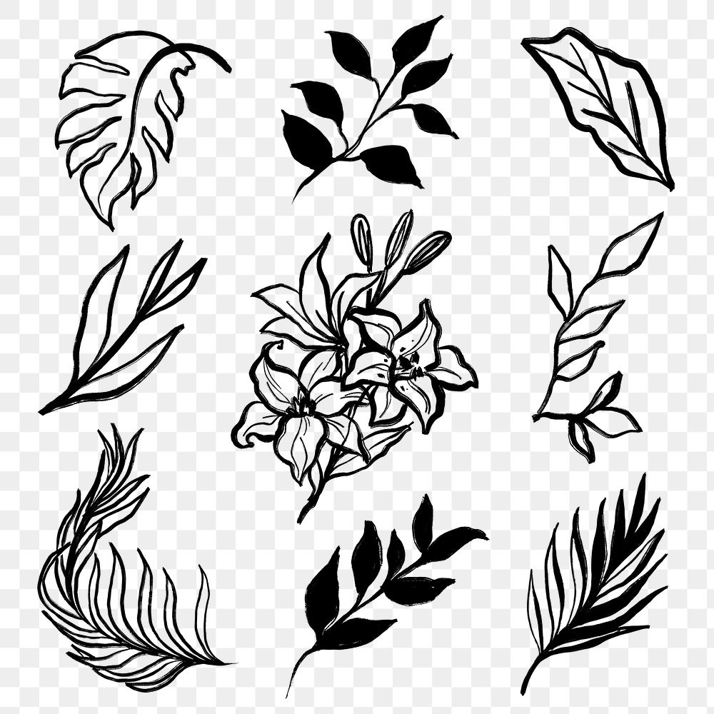 Black leaf png stickers, floral and plants line drawing, minimal illustration on transparent background set