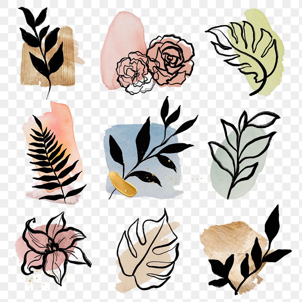 Aesthetic flowers png stickers, minimal pastel line drawing style set on transparent background