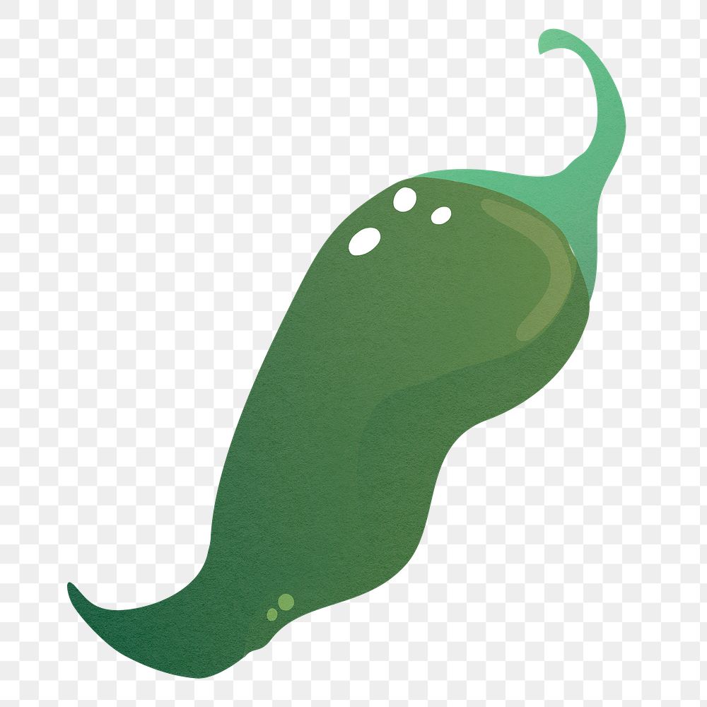 Green Jalapeno pepper png sticker, transparent background