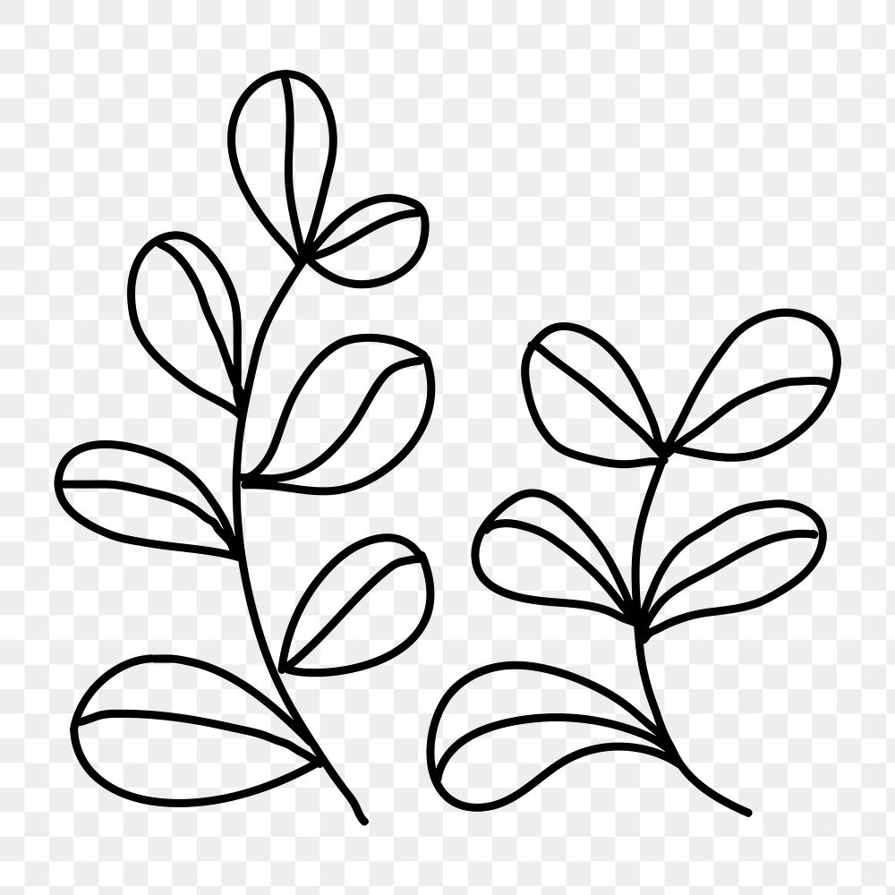 Doodle leaves png botanical line art, transparent background