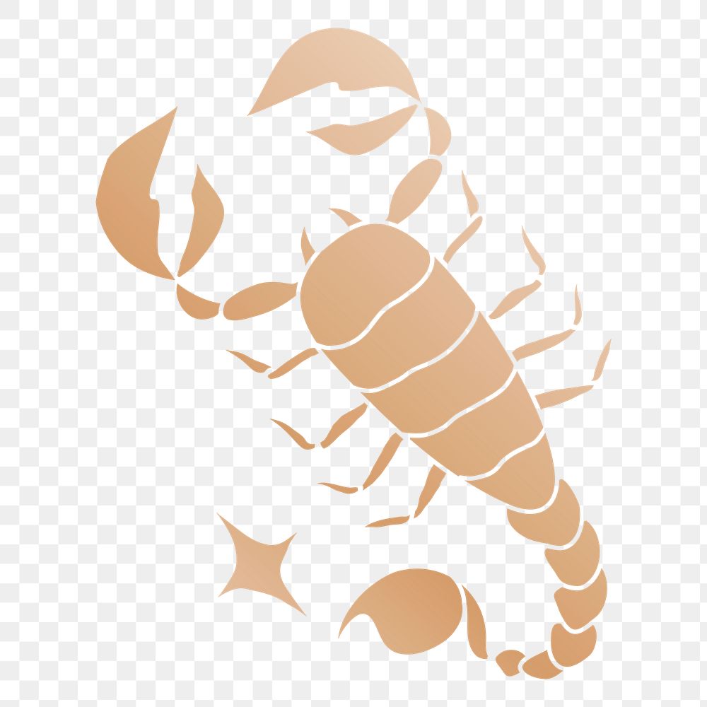 Scorpio png zodiac animal illustration, transparent background