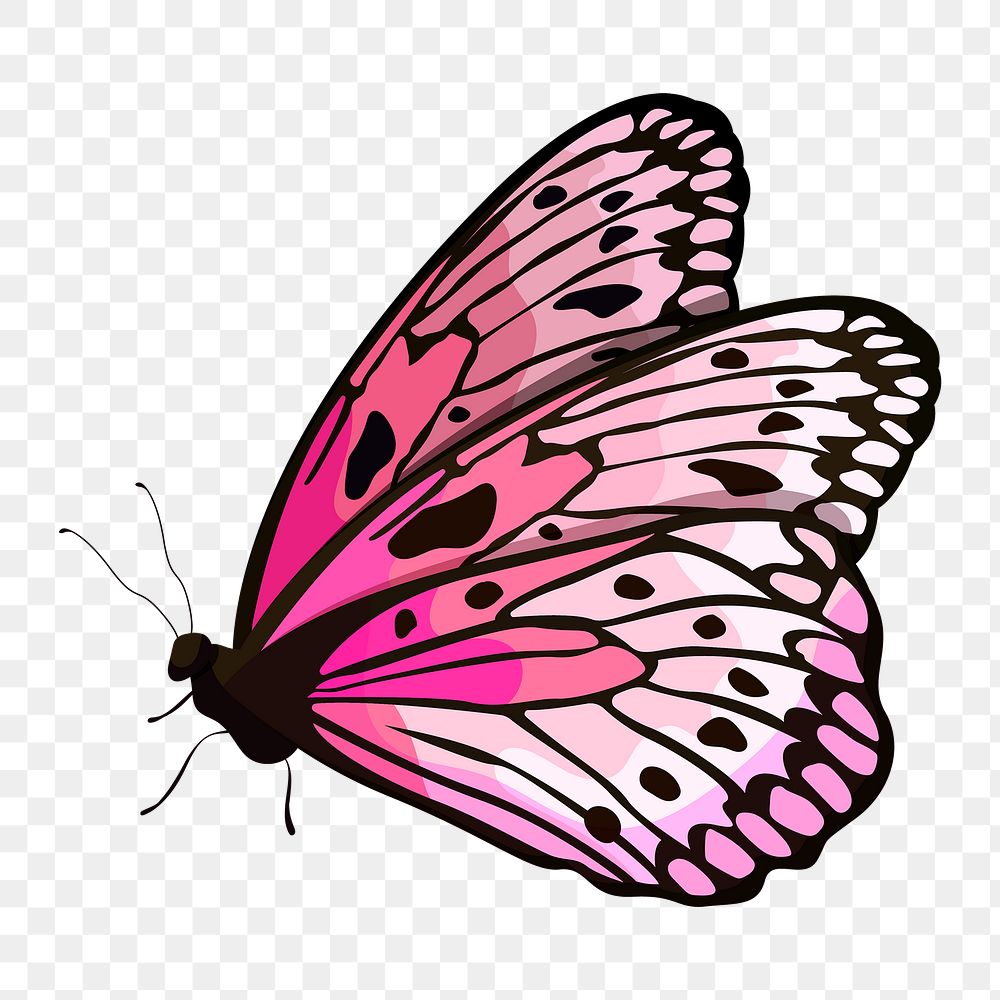 Pink butterfly png sticker, watercolor illustration