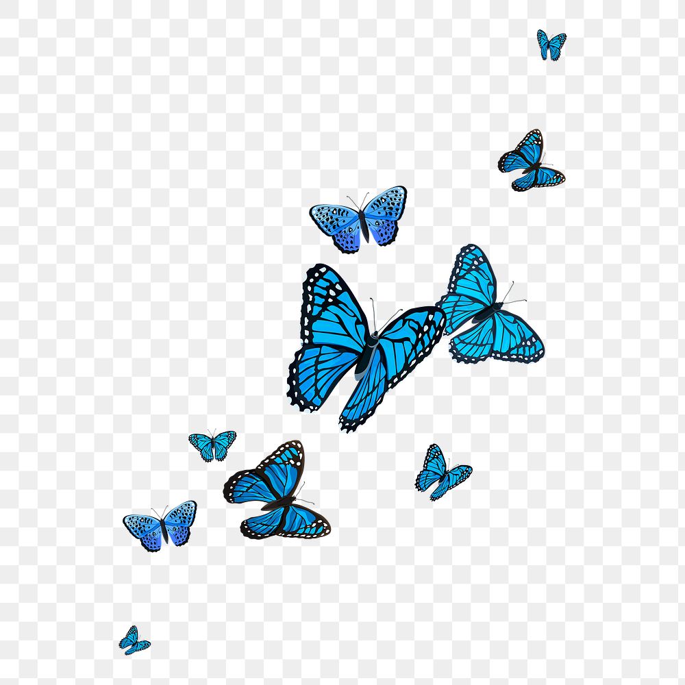 Blue butterfly png border, watercolor collage element, transparent background