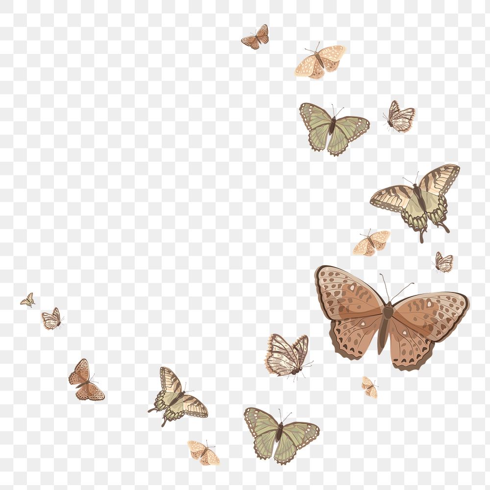 Beige butterfly png border frame, watercolor collage element,  transparent background