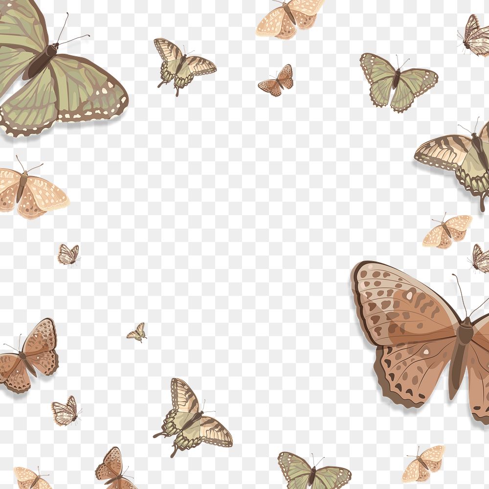 Aesthetic butterfly png border frame, transparent background