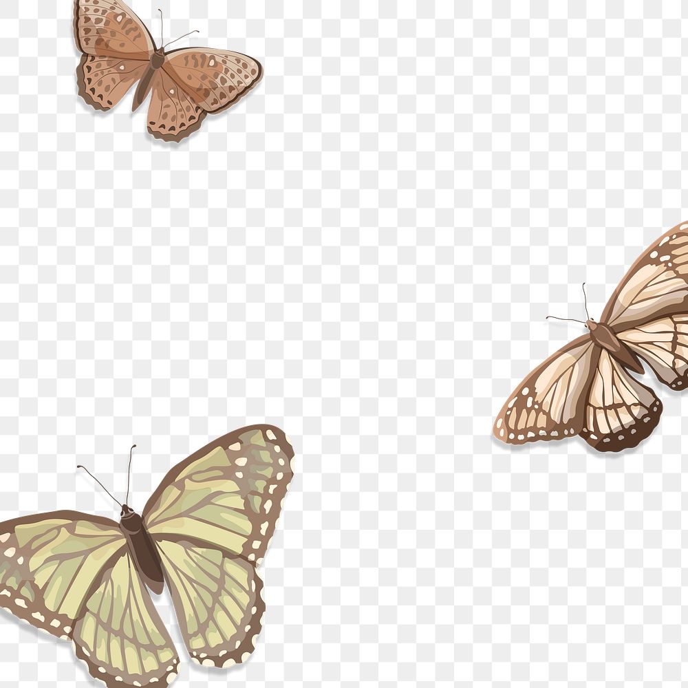 Butterfly png border frame, aesthetic design transparent background