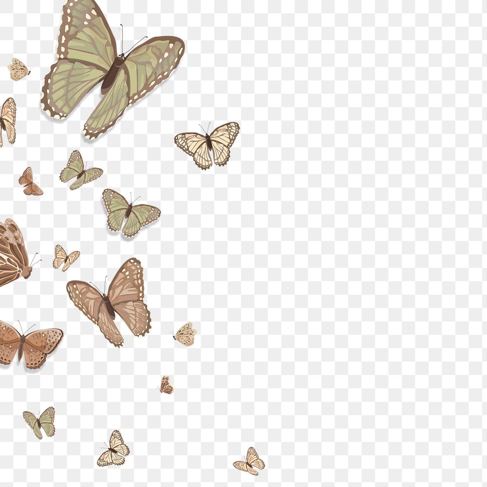 Png beige butterfly border, transparent background