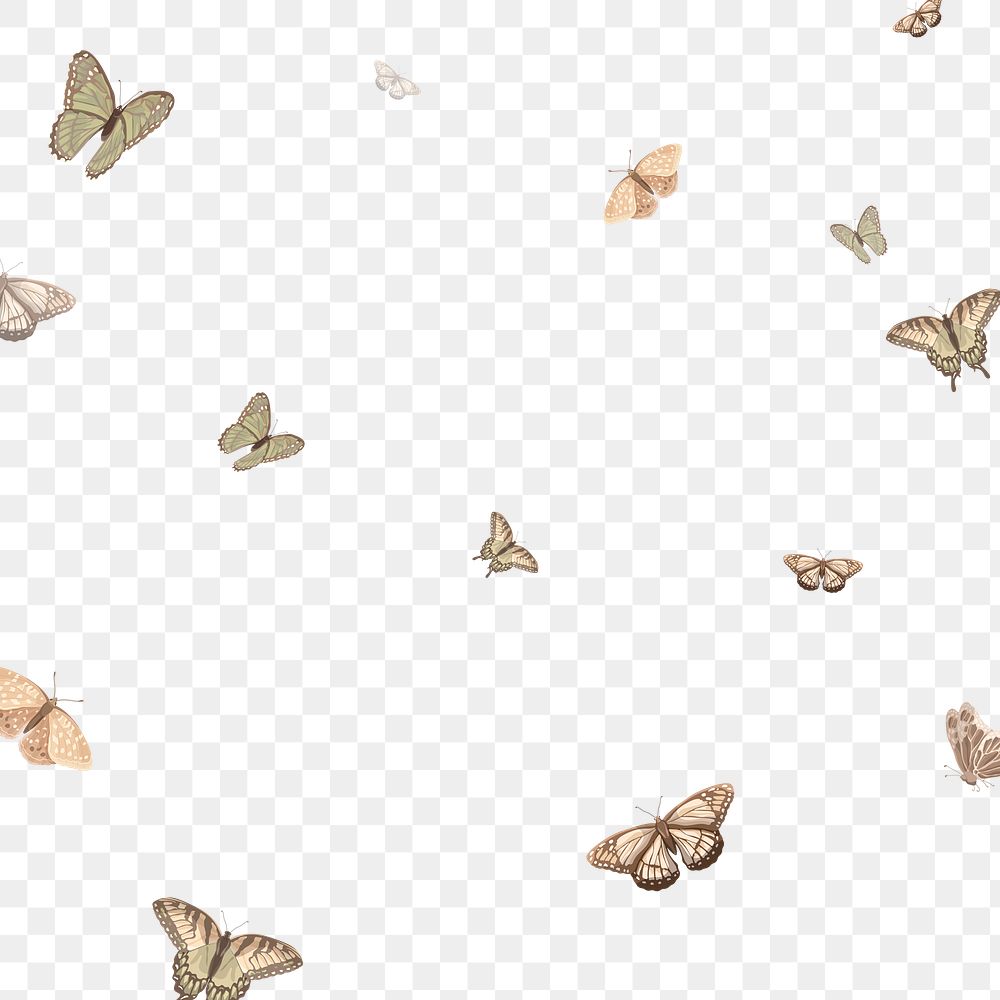 Png butterfly background, transparent design 
