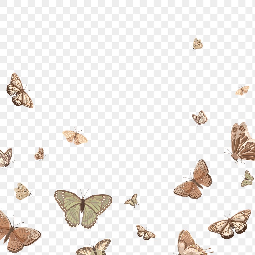 Png aesthetic butterfly border, transparent background