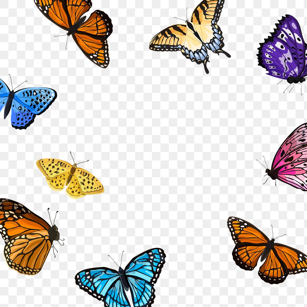Colorful butterfly png border frame, transparent background