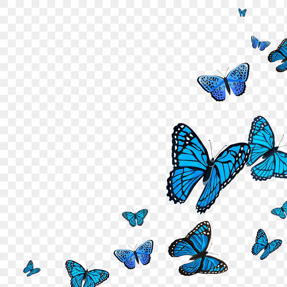 Png butterfly border transparent background