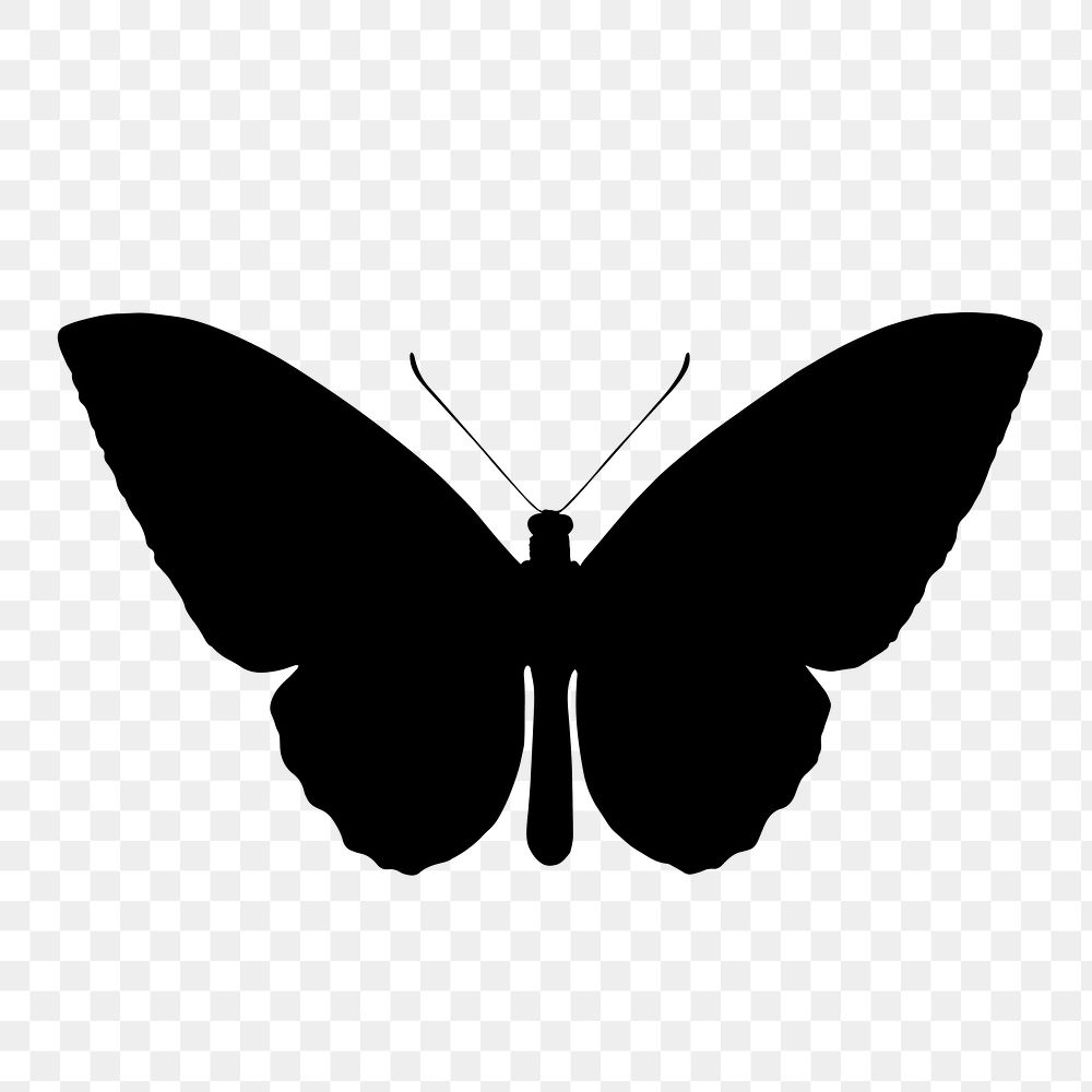 Butterfly silhouette png on transparent background