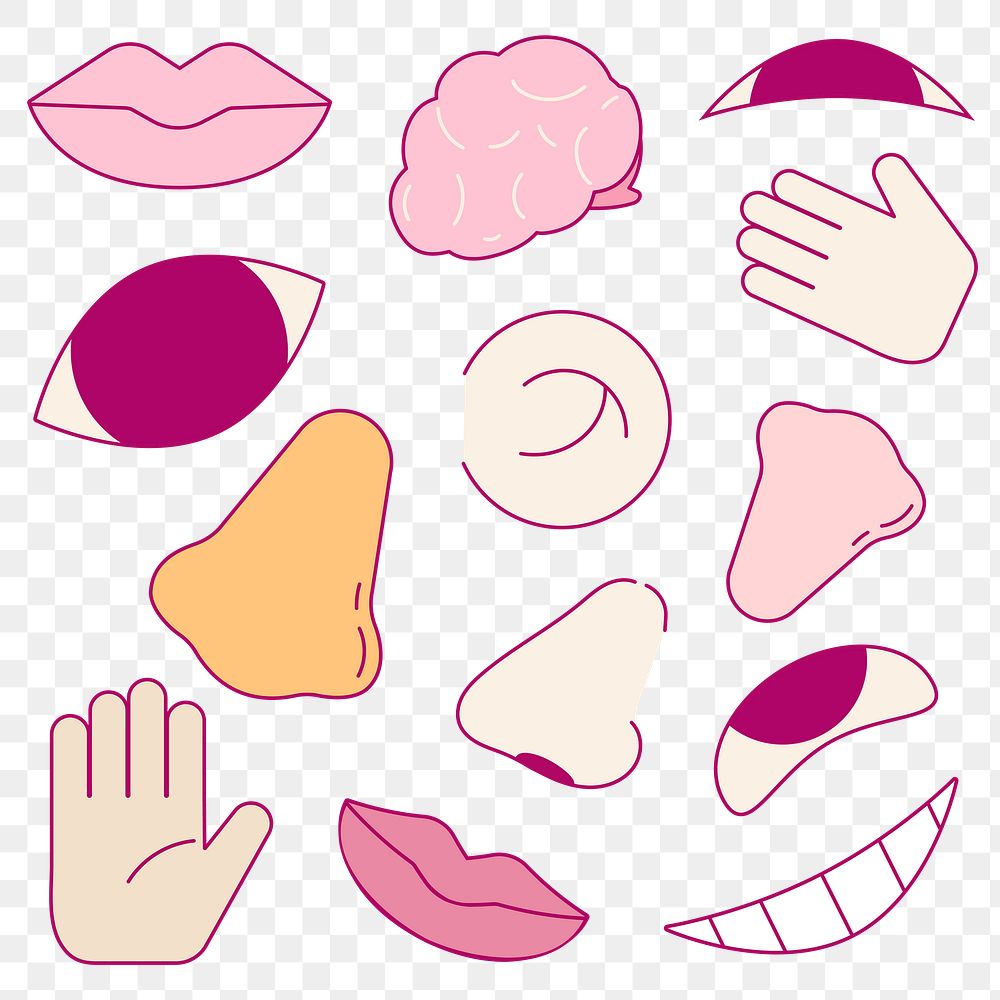 5 senses png sticker, cartoon design, transparent background set